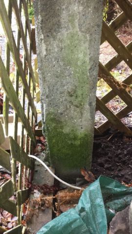 image of concrete footing-concrete repair services completed in Halifax, NS by Pro  Foundation based in Halifax, NS covering all of the Halifax-Dartmouth Regional Municipality, Chester, Bridgewater, liverpool, Windsor, Wolfville, Kentville, Elmsdale, Truro, Musquodoboit Harbour & surrounding areas.