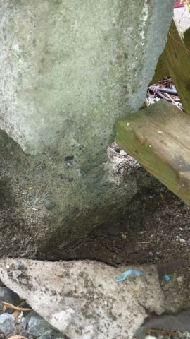 image of concrete footing-concrete repair services completed in Halifax, NS by Pro Foundation Services based in Halifax, NS covering all of the Halifax-Dartmouth Regional Municipality, Chester, Bridgewater, liverpool, Windsor, Wolfville, Kentville, Elmsdale, Truro, Musquodoboit Harbour & surrounding area.