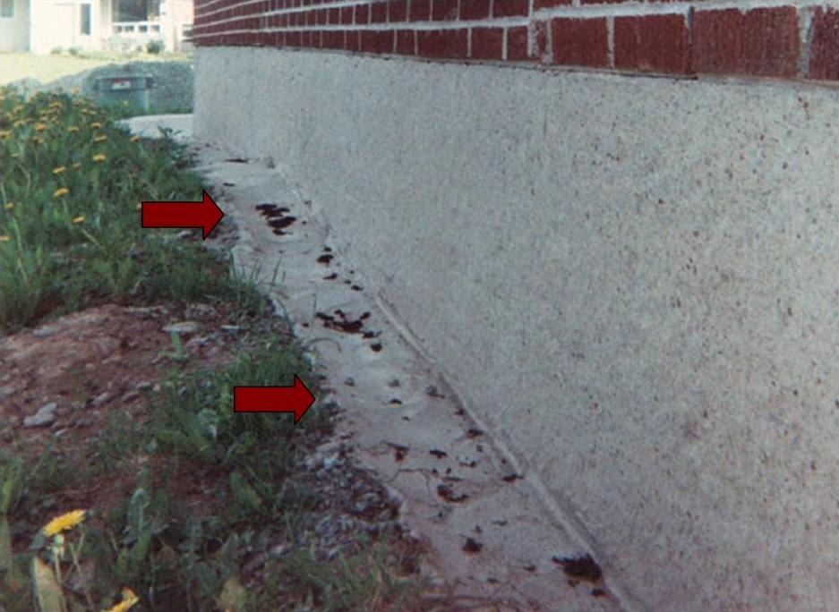 image of a foundation french drainage system-foundation french drainage system services completed in Halifax, NS by Pro Foundation Services based in Halifax, NS is providing their foundation french drainage systems services covering all of the Halifax-Dartmouth Regional Municipality, Chester, Bridgewater, liverpool, Windsor, Wolfville, Kentville, Elmsdale, Truro, Musquodoboit Harbour & surrounding areas