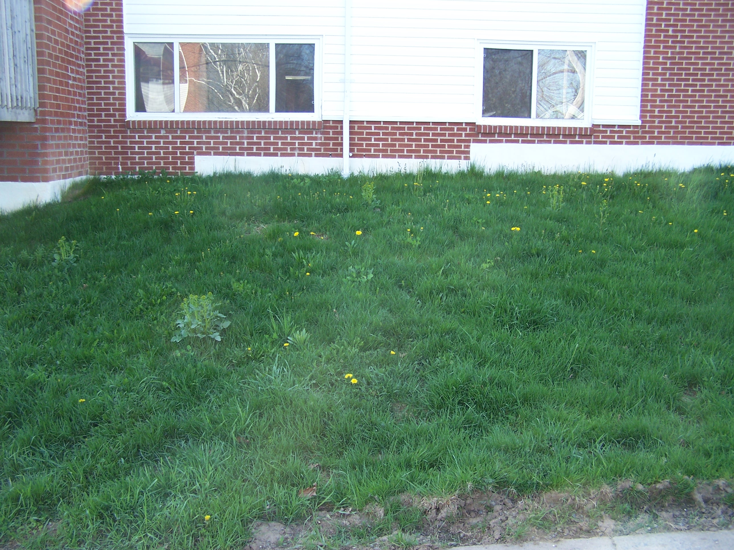 image of french drainage system-foundation french drainage system services completed in Halifax, N S by Pro Foundation Services based in Halifax, NS is providing their foundation drainage system services covering all of the Halifax-Dartmouth Regional Municipality, Chester, Bridgewater, liverpool, Windsor, Wolfville, Kentville, Elmsdale, Truro, Musquodoboit Harbour & surrounding areas.